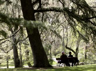 Parque El Capricho de la Alameda de Osuna 01.jpg