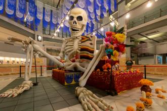 Altar de Muertos en CentroCentro