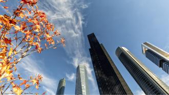 Cuatro Torres Business Area