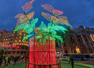Luces de Navidad 2023