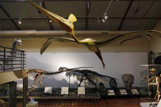 Museo Nacional de Ciencias Naturales