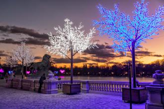 Parque de El Retiro (Navidad 2021)