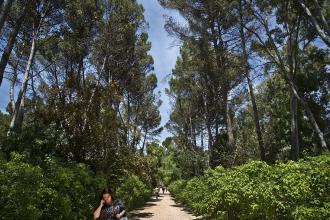 Quinta de los Molinos