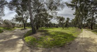 Quinta de Torre Arias Quinta de Torre Arias