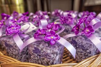 Violetas (Tienda La Violeta)