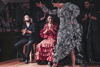 Tablao flamenco Las Carboneras.jpg
