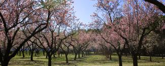 Parque Quinta de Los Molinos 01.jpg