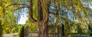 Parque de El Retiro