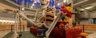 Altar de Muertos en CentroCentro
