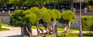 Parque de El Retiro