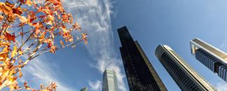 Cuatro Torres Business Area