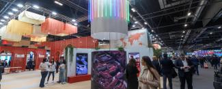 Fitur 2025