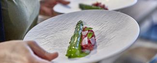 Gastrofestival 2022