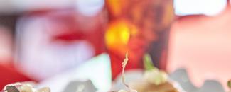 Gastrofestival 2022