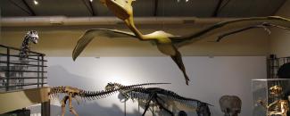 Museo Nacional de Ciencias Naturales