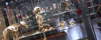 Museo Nacional de Ciencias Naturales