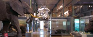 Museo de ciencias naturales.jpg