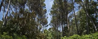 Quinta de los Molinos