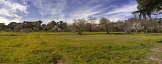 Quinta de Torre Arias