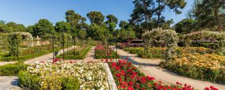 Parque de El Retiro