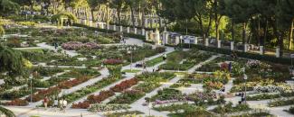 Rosaleda Parque del Oeste