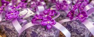 Violetas (Tienda La Violeta)