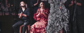 Tablao flamenco Las Carboneras.jpg